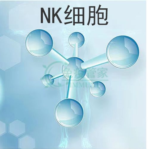 NK细胞增敏PD-1（帕博利珠单抗）效果，客观缓解率提升一倍多