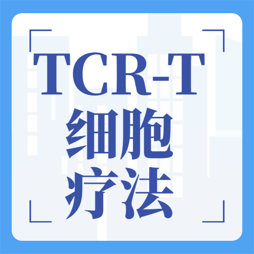 总生存率达60%！TCR-T细胞产品Afami-cel疗效理想，TCR-T细胞疗法挑战实体瘤