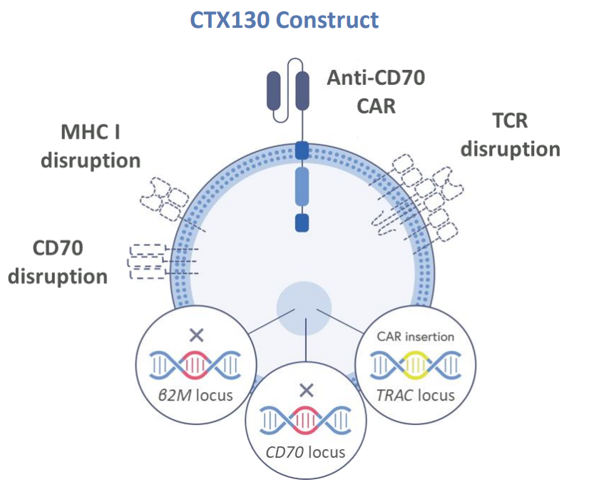3年无癌生存！CAR-T疗法CTX130在肾癌和淋巴瘤领域展现鼓舞的疗效！